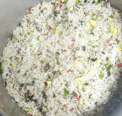 Chicken manchurian & fried rice