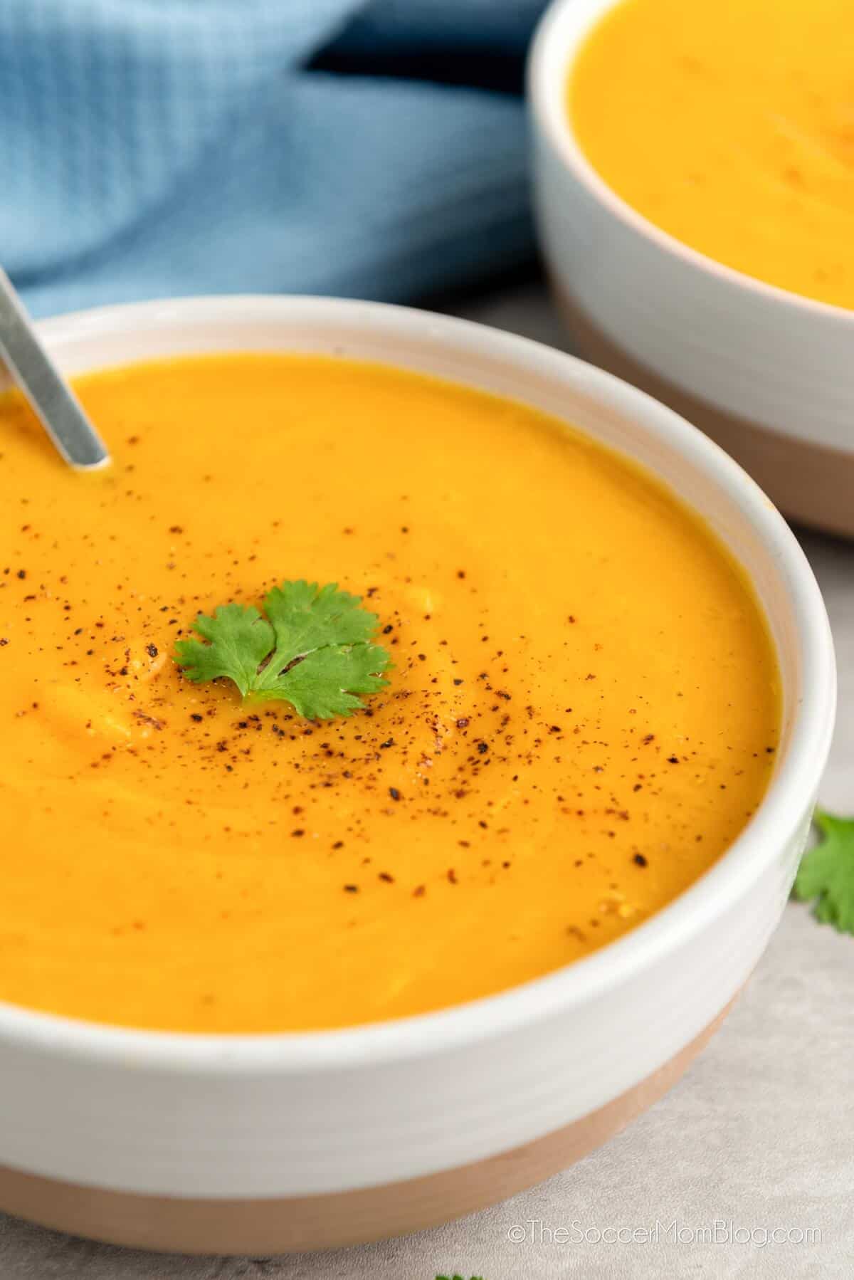 slow cooker butternut squash soup creamy velvety roasted apple coconut milk warming spices fall winter cozy