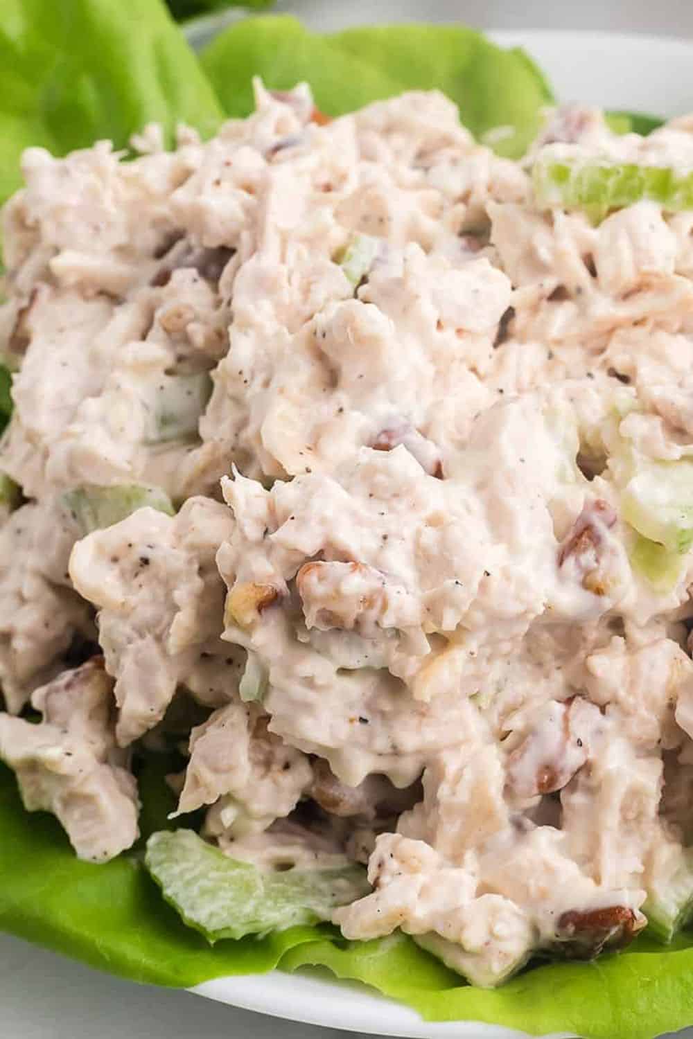 Southern chicken salad with toasted pecans creamy mayonnaise tender shredded chicken celery onion comfort food picnic