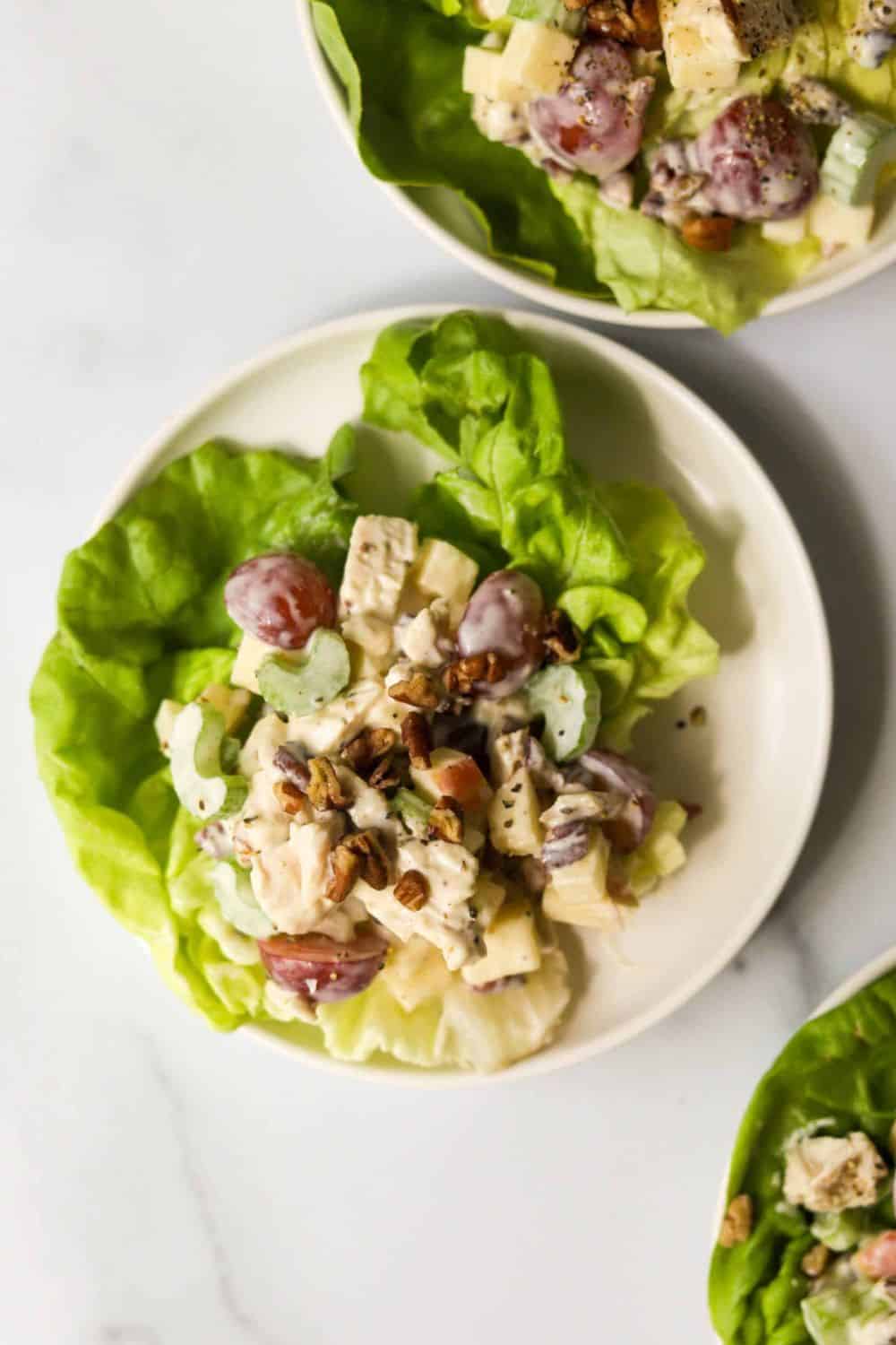 apple walnut chicken salad Honeycrisp Granny Smith dried cranberries celery toasted walnuts maple Dijon dressing fall autumn