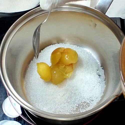 apricot delight making process 2