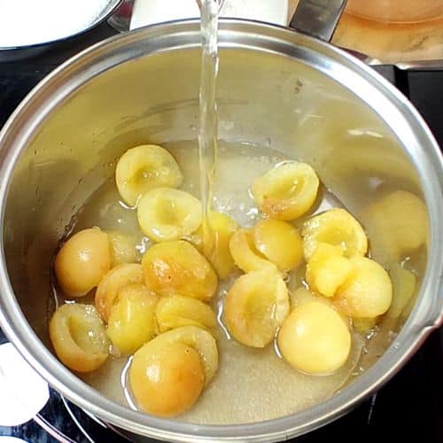 apricot delight making process 3