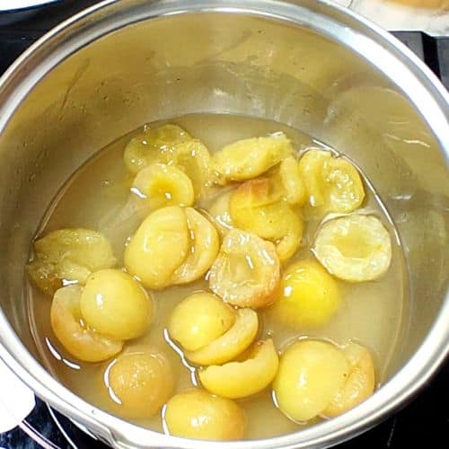 apricot delight making process 4