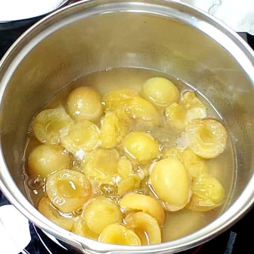 apricot delight making process 5