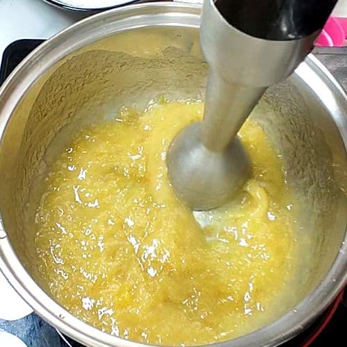 apricot delight making process 7