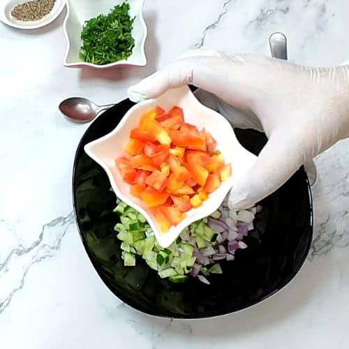 Easy Healthy Mix Salad ingredients