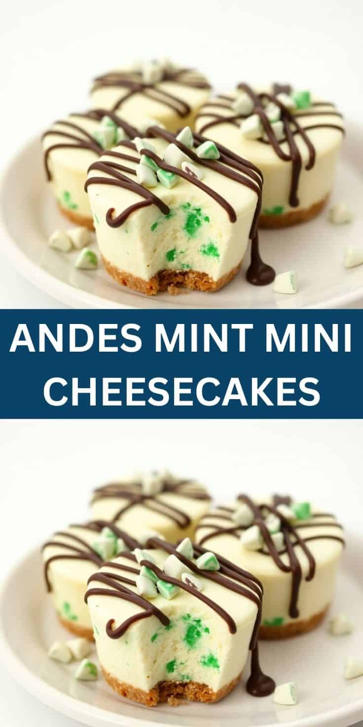 Mini cheesecakes with graham cracker crust, mint filling, chocolate drizzle, and crushed candy garnish on white plate.