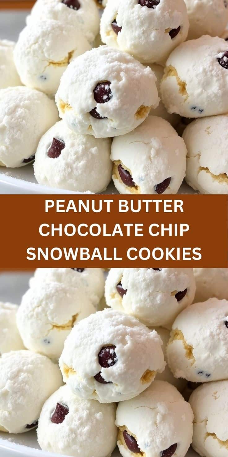 Peanut butter chocolate chip snowball cookies dusted with powdered sugar on white plate.
