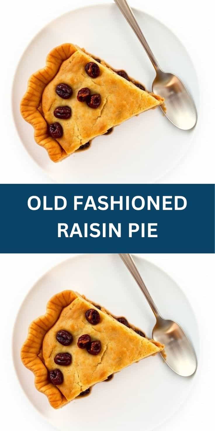 Slice of old fashioned raisin pie with golden crust and dark raisins on white plate with fork.