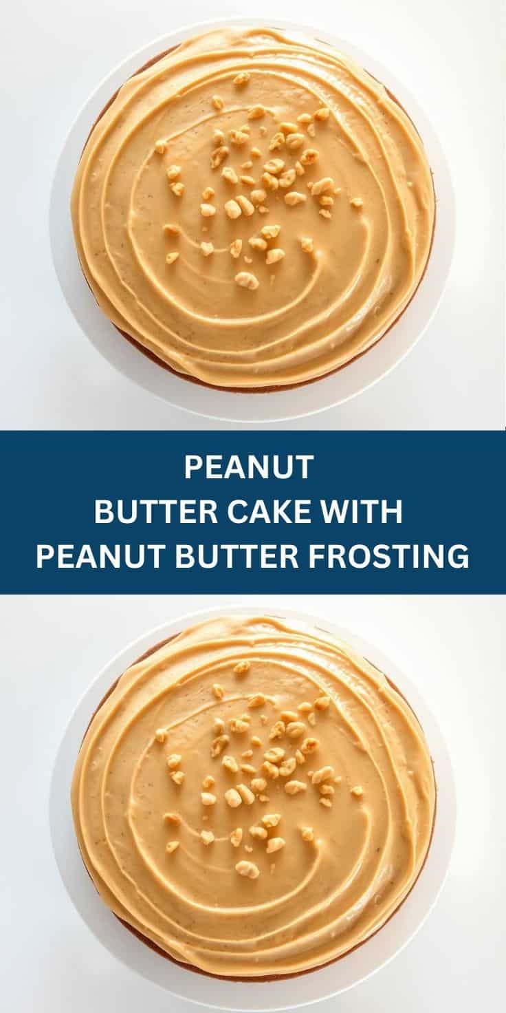 Peanut butter cake topped with creamy peanut butter frosting and chopped peanuts on white plate.