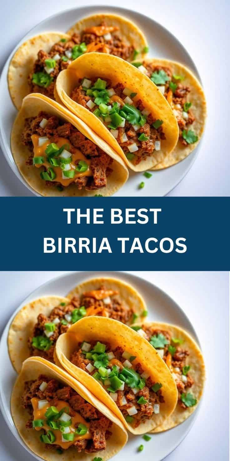 Four birria tacos on white plate with shredded beef, green onions, and white onion garnish.