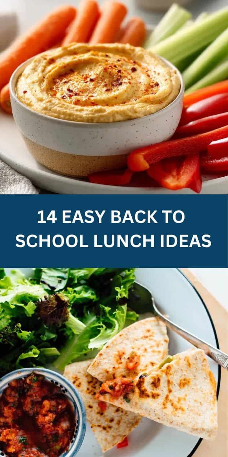 Delicious hummus served with fresh carrot, celery, and bell pepper sticks for healthy school lunch i.
